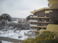 /album/galleria-fotografica/neve-al-giardino-di-faonte-web-jpg/